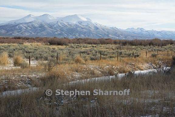 winter scene nevada 1 graphic